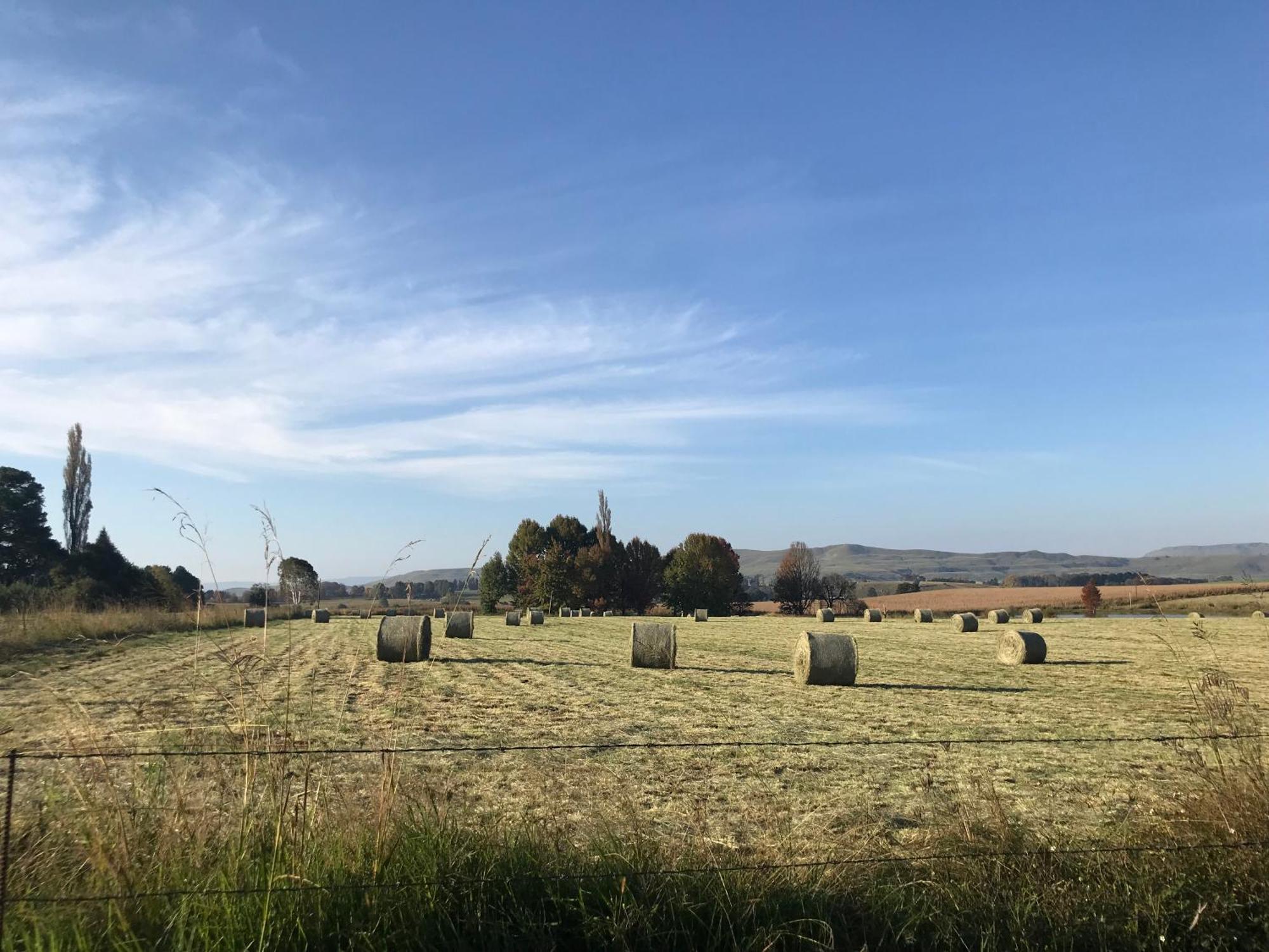 Pensjonat Karmichael Farm Himeville Zewnętrze zdjęcie